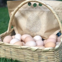 Huevo Rojo - Caja (360 pzas)